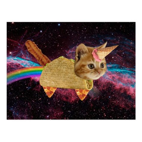 Unicorn cat - taco cat - space cat - tabby cat postcard | Zazzle.com Art Postcards, Taco Cat, Unicorn Cat, Space Cat, Tabby Cat, Crazy Cats, Fantasy Art, Rainbow