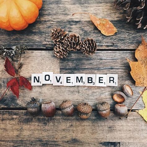 November november hello november november quotes Hallo November, Holiday Season Quotes, November Images, Quotes Thanksgiving, Neuer Monat, Welcome November, November Quotes, November Wallpaper, Thanksgiving 2020