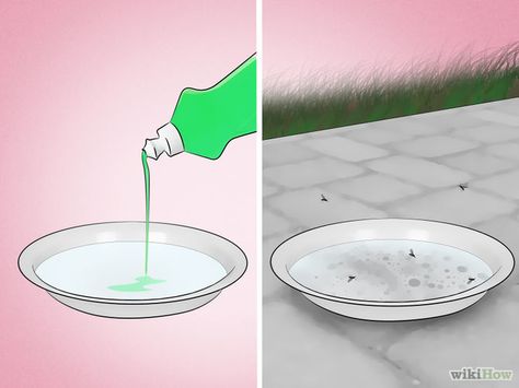 How to Get Rid of Mosquitoes Indoor Mosquito Repellent, Indoor Mosquito Trap, Mosquito Trap Diy, Repellent Diy, Mosquitoes Remedies, Mosquito Repellent Homemade, Mosquito Traps, Diy Mosquito Repellent, Mosquito Spray