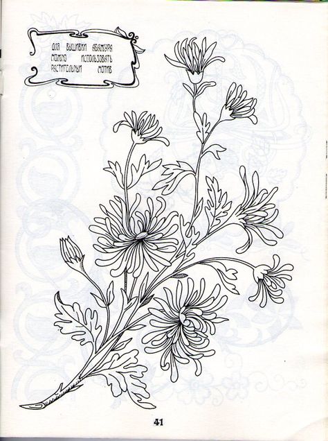 E Chrysanthemum Embroidery, Vintage Embroidery Transfers, Unique Drawings, Flower Sketches, Embroidery Transfers, Pola Sulam, Brazilian Embroidery, Floral Quilt, Handwork Embroidery Design