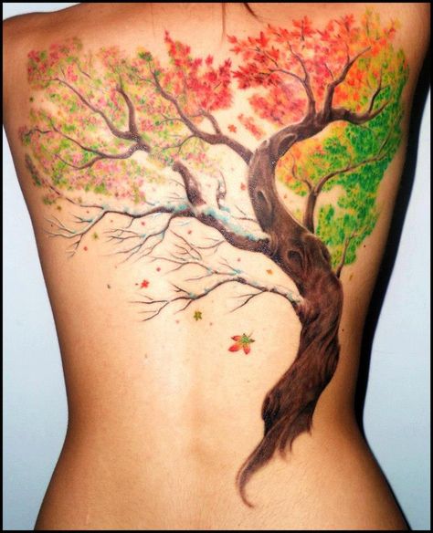 Four seasons tattoo. Remove extra autumn leaves falling into winter and add more snowflakes like the ones from "Frozen" Autumn Tattoos, Maple Tree Tattoos, Blatt Tattoos, Tree Tattoo Back, Oak Tree Tattoo, Cool Back Tattoos, Autumn Tattoo, Kunst Tattoos, Tattoos Mandala