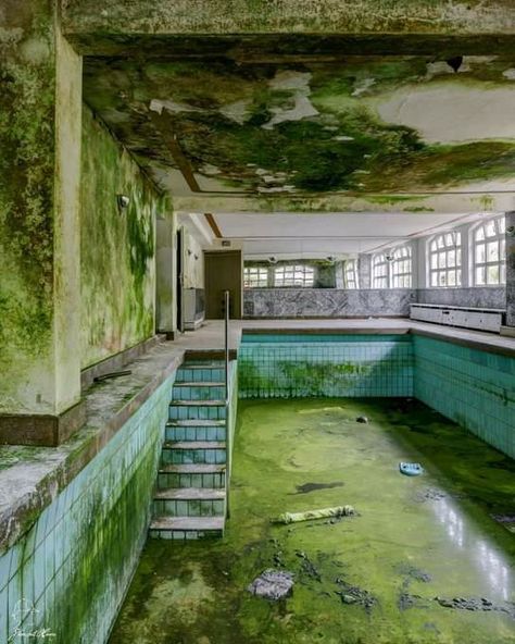 The green pool 🏊‍♀️ All Cheerleaders Die, Abandoned Water Parks, Swimming Dress, Mini Swimming Pool, Creepy Old Houses, Swim Skirts, Dress Online Shopping, Swimming Wear, Green Pool