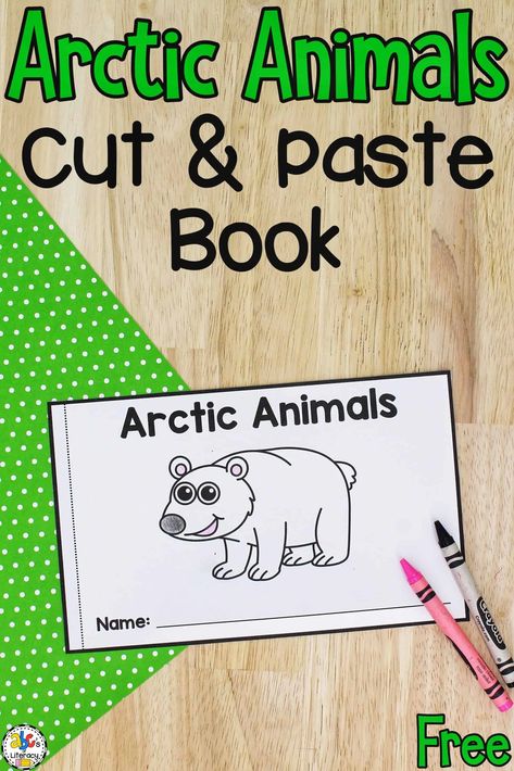 Arctic Animal Books Preschool, Artic Animals Activities Toddler, Artic Animal Art For Toddlers, Polar Animals Kindergarten, Winter Animal Theme Preschool, Artic Animals Fine Motor Activities, Artic Animal Activities For Preschoolers, Arctic Animal Activities For Preschool, Arctic Activities For Kids