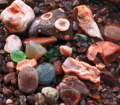 Agates and beach glass and quartz, oh my! | The results of m… | Flickr Rock Identification, Rock Tumbling, Rock Hunting, Lake Superior Agates, Rocks And Fossils, Geology Rocks, Rock And Pebbles, Rock Minerals, Pretty Rocks