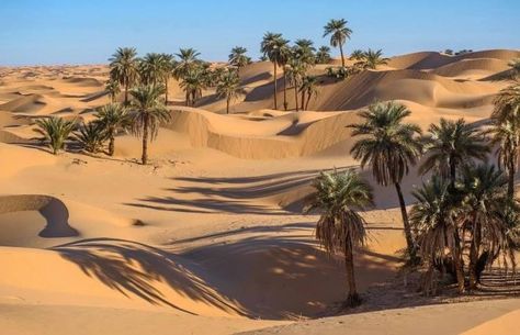 Desert Sahara, Desert Photography, Desert Life, Desert Oasis, Arabian Nights, In The Desert, Wanderlust Travel, North Africa, Watercolor Landscape