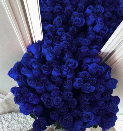 Blue Bouquet Aesthetic, Blue Roses Aesthetic, Blue Roses Bouquet, Dark Blue Roses, Pretty Flower Bouquet, Rose Blu, Royal Blue Roses, 17 Doğum Günü, Blue Flower Bouquet