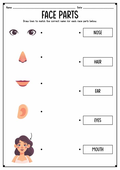 Parts Of My Body Worksheet, My Face Worksheet For Kids, Body Parts For Kids Worksheets, Face Activities For Kids, Parts Of The Face Activities For Kids, My Face Activities For Preschool, Face Parts Worksheet, Face Parts For Kids, Parts Of The Body Worksheet