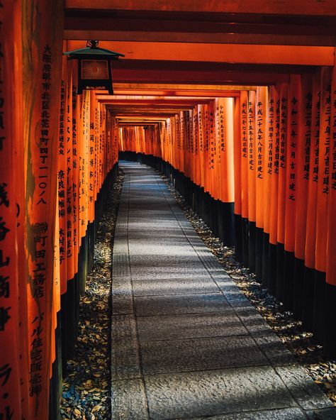 Fushimi Inari Taisha.⛩️ Japanese Posters, Fushimi Inari Taisha, Fushimi Inari, Japanese Poster, Kyoto Japan, Kyoto, Japan, Collage, Quick Saves