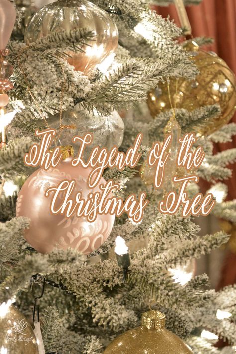 I'm sharing the legend of the Christmas Tree today.  Ever wonder why at Christmas time we put up an evergreen tree in our homes?  Ever wonder who started the tradition and where did the tradition come from?  Well, let me tell you...   The story of the Christmas tree begins in England, where in the… Life Like Christmas Tree, Lessons From A Christmas Tree, Legend Of The Christmas Tree, Christmas Tree Poem, Christmas Tree Guide, Christmas Tree Quotes, Story Of Christmas, Tree Poem, Christmas Thoughts