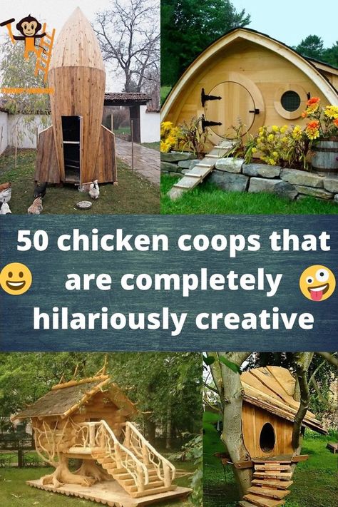 Homesteading Diy, Raising Backyard Chickens, Homesteading Skills, Farm Stuff, Green Acres, Chicken Coops, Chicken Humor, Backyard Birds, Raising Chickens