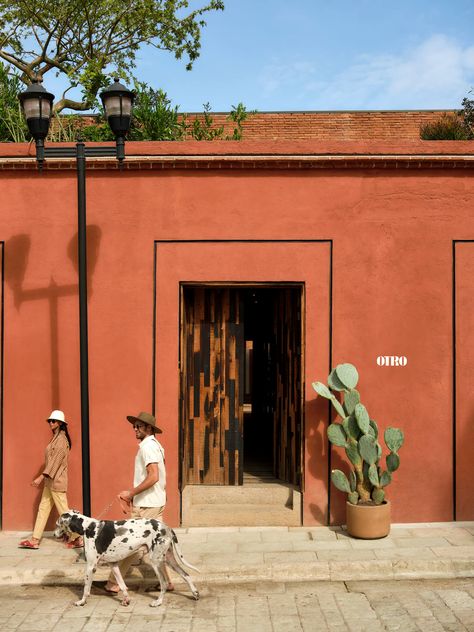 Oaxaca Architecture, Collage Branding, Materials Architecture, Pueblo House, Mexican Cafe, Mexican Villa, Mexican Aesthetic, Rustic Restaurant, Arch Interior