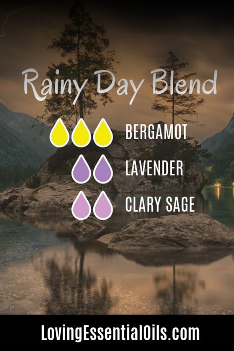 10 Rainy Day Diffuser Blends - Best Rain Essential Oils Rainy Day Essential Oil Blend, Rainy Day Diffuser Blend, Rainy Day Diffuser Blends, Pioneer Living, Diffuser Scents, Diffuser Diy, Perfume Blends, Essential Oils Diffuser Blends, Scent Blends