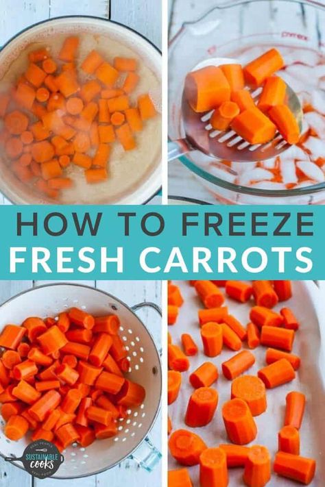 How To Freeze Carrots, How To Freeze Celery, Freezing Carrots, Freezing Veggies, Garden Carrots, Freezing Vegetables, Fresh Carrots, Raw Carrots, Ball Jar