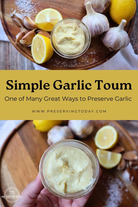 Garlic Toum Recipe, How To Preserve Garlic, Toum Recipe, Preserve Garlic, Preserving Garlic, Mayonnaise Sandwich, How To Make Mayonnaise, French Sauces, Garlic Dip