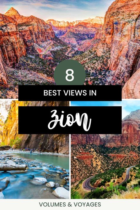 Narrows Zion National Park, Zion National Park Hikes, Utah National Parks Road Trip, Trip To Grand Canyon, Beautiful Parks, Utah Adventures, Utah Road Trip, Nevada Travel, Zion National Park Utah