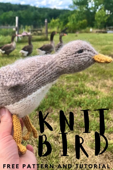 Beginner Knit Animals, Free Knitting Patterns Amigurumi, Cute Things To Knit Easy, Knitted Ducks Free Pattern, Easy Knitting Animals, Free Knit Animal Patterns, Easy Knit Animals, Goose Knitting Pattern, Knitted Duck Pattern Free