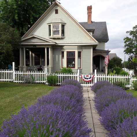 Gift Shop Exterior, Lavender Walkway, Giant Backyard, Hobbit Life, Munstead Lavender, Entrance Landscaping, Driveway Entrance Landscaping, Front Path, Lavender Uses