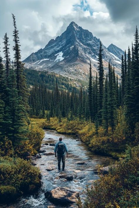 "From remote forests to vast deserts, explore untouched wilderness that will inspire your next adventure! 🌲🏞️ Ideal for nature enthusiasts. #WildLandscapes #NatureEscapes #AdventureInNature" Spiritual Nature Aesthetic, Wilderness Aesthetic, Spiritual Nature, Wild Nature, Nature Aesthetic, Nature Lovers, Nature Lover, The Beauty, Forest