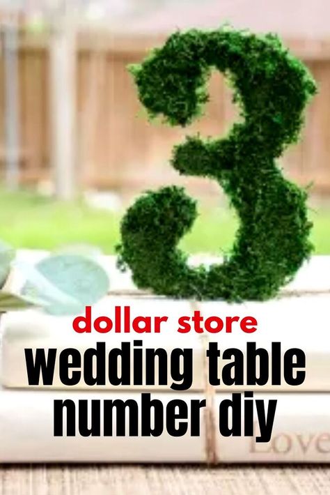 If you're throwing a wedding on a budget, check out this quick and easy wedding table number diy you can make for cheap and that looks expensive. Perfect for an indoor or outdoor wedding! Table Number Diy, Dollar Store Wedding, Diy Wall Planter, Spring Floral Wreath, Easy Wedding, Wedding On A Budget, Faux Shiplap, Wedding Table Number, Painted Flower Pots