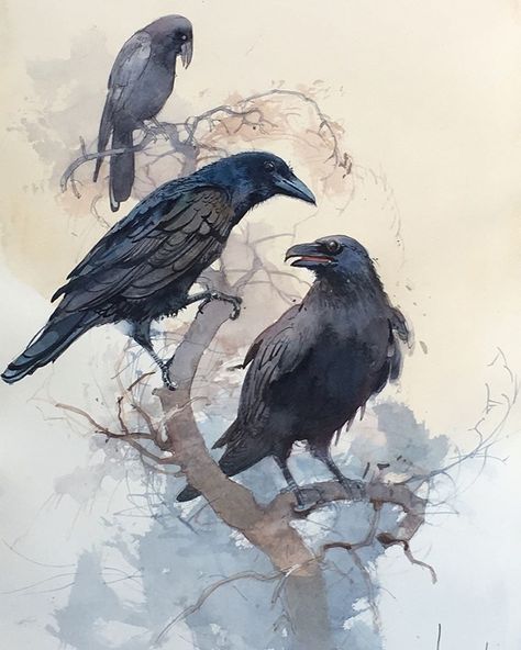 Crow Images, Crow Painting, Watercolor Paintings Of Animals, Crow Art, Black Birds, Raven Art, Watercolor Artists, Arte Animal, Bird Drawings