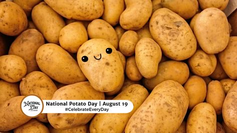 🥔 August 19th is National Potato Day!
https://www.nationaldaycalendar.com/national-day/national-potato-day-august-19
#CelebrateEveryDay #NationalPotatoDay #PotatoDay National Potato Day, National Day Calendar, Growing Potatoes, August 19, Center Stage, Vitamin C, Beautiful Colors, Potato, Vitamins