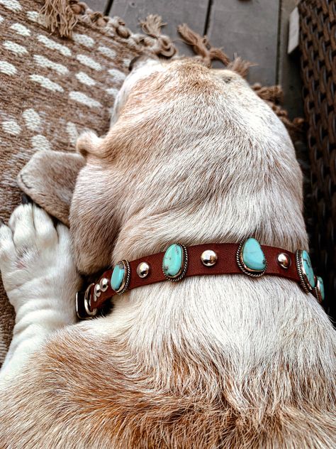 Turquoise Pet Collar - Turnback Pony ™ - Pet Collars & Harnesses Turquoise Aesthetic Western, Dog Collar Aesthetic, Collar Aesthetic, Turquoise Dog Collar, Western Dog Collars, Boy Dog Clothes, Turquoise Aesthetic, Aesthetic Western, Dog Kennels