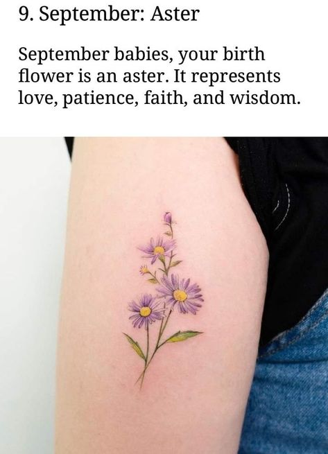 Small Aster Flower Tattoo, Aster Tattoo September, September Birth Flower Tattoo Aster, Aster And Morning Glory Tattoo, September Tattoos, Flower Tattoo On Arm, September Birth Flower Tattoo, Month Flower Tattoo, Aster Flower Tattoo