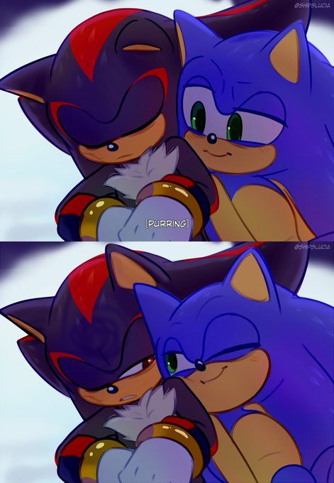 Lucía Ship Art!🇦🇷 (@ShipsLucia) / X Sonic X Shadow Fanart, Sonic Shadow, Shadow Sonic, Sonic Funny, Sonic 3, Blue Hedgehog, Hedgehog Art, Ripped Denim Shorts, Romantic Things