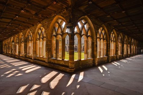 The cloisters of Durham cathedral. Harry Potter 20th Anniversary, Liverpool Images, Deathly Hallows Part 2, Durham City, Gloucester Cathedral, Durham Cathedral, Reptile House, Alnwick Castle, Film Locations