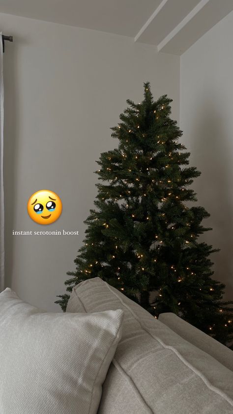 Christmas Decor Instagram Story, December 1st Instagram Story, Christmas Lights Instagram Story, Christmas Tree Ig Story, Xmas Story Instagram, Christmas Insta Post Ideas, Xmas Instagram Stories, Christmas Tree Captions For Instagram, Christmas Tree Instagram Story