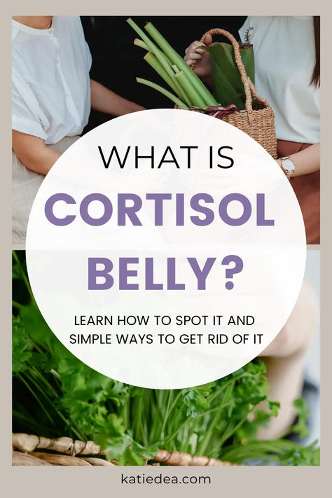 Have you noticed stubborn weight around your belly? It might be cortisol belly. This guide helps you identify cortisol belly and offers simple tips to reduce it. Discover a cortisol reduction diet and a detox plan to lower cortisol and inflammation. Find out how to lower cortisol levels naturally and reclaim control over your health. Don't let stress control you. Save this pin for later so you can refer back to it often! Herbs For Cortisol, Lowering Cortisol Levels Naturally, Cortisol Lowering Diet, Foods That Reduce Cortisol, Cortisol Detox Diet Plan Free, Best Diet Plan For Menopausal Women, Lower High Cortisol, Losing Weight With High Cortisol, How To Control Cortisol Levels