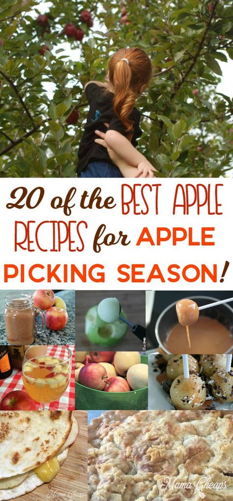 Apple Picking Recipes, Fresh Picked Apple Recipes, Apple Theme Parties, Apple Tree Farm, Best Apple Recipes, Apple Picking Season, Salted Caramel Apple Pie, Baked Apple Recipes, Halloween Snack