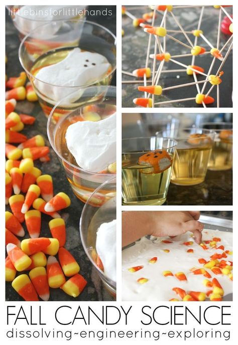 Fall Dissolving Candy Corn STEM Activities Kitchen Science. Build candy corn structures and test out candy corn non-newtonian fluids for science and tactile sensory play! Great Fall and Halloween activity using leftover candy!: Dissolving Candy Corn, Candy Corn Stem, Halloween Stem Activities, Candy Science, Science Experience, Early Halloween, Fall Science, Halloween Stem, Leftover Candy