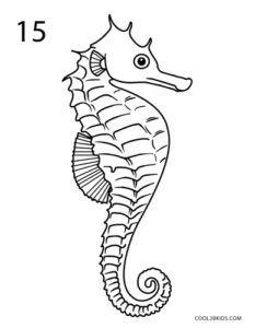 How to Draw a Seahorse (Step by Step Pictures) | Cool2bKids Seahorse Drawings, Draw A Seahorse, Seahorse Outline, Seahorse Crafts, Seahorse Drawing, Vinyl Decals Car, Seahorse Tattoo, Bathroom Mural, Artistic Drawings