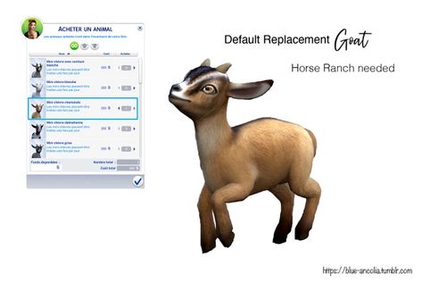 #sims4 #s4cc #ts4cc sims 4 horse ranch sims 4 goats Blue Ancolia, Sims 4 Cottage, Sims Pets, Mini Goats, Pet Goat, Mini Cows, Sims 4 Mm Cc, Sims 4 Expansions, Casas The Sims 4