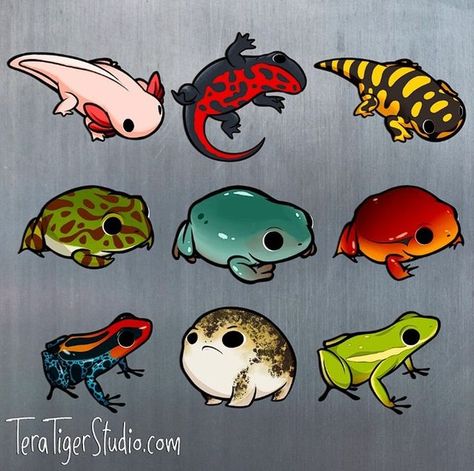 Grey Tree Frog, Tomato Frog, Horned Toad, Tiger Salamander, Rain Frog, Reptile Room, Logo Animal, Frog Drawing, Salamanders