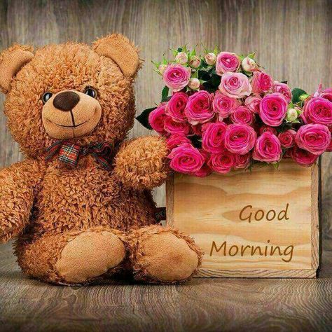 Gud Morning Images, Cute Good Morning Gif, Good Night Wallpaper, Beautiful Morning Quotes, Cute Good Morning Images, Good Morning Nature, Good Morning Roses, Good Morning Beautiful Flowers, Good Morning Animation