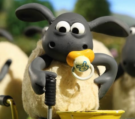 Sheep Cartoon, Timmy Time, Aardman Animations, Shaun The Sheep, Clay Baby, Cute Sheep, Cartoon Wall, Silly Girls, The Sheep