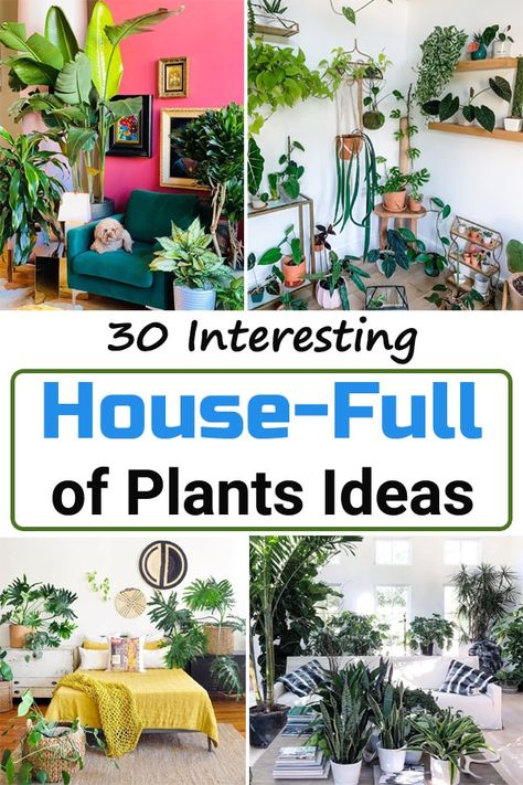 Indoor Jungle Room House Plants, Decorating House Plants, Plant Areas Indoor, Farm Style House Plants, How To Fit More Plants In A Room, Decorate House With Plants, Styling Hanging Plants, House Plant Room Ideas, Where To Put House Plants