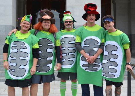 Homemade mitochondria costumes for our "security" team at our 5K to raise awareness for mitochondrial disease. Biology Halloween Costume, Halloween Science, Bird Aviary, Korean Girl Fashion, Coraline, Costume Ideas, Fancy Dress, Biology, Korean Girl