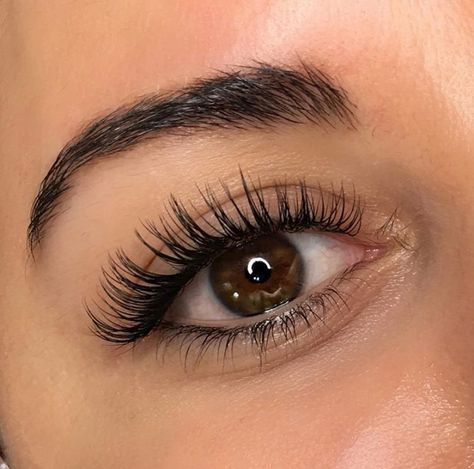 Eyelash Extensions Classic, Eyelash Extensions Care, Natural Fake Eyelashes, Eyebrow Extensions, Evening Eye Makeup, Lashes Fake Eyelashes, Soft Eye Makeup, How To Grow Eyelashes, Eyelash Extensions Styles