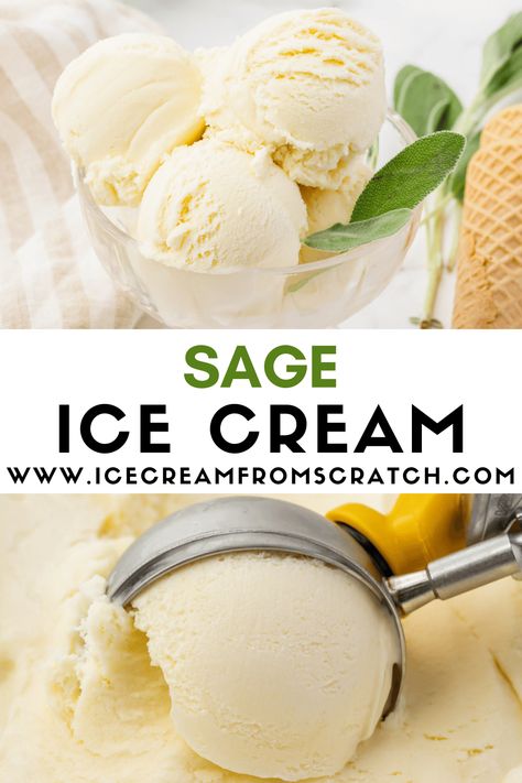 The peppery, earthy, herbaceous flavor of fresh sage is lightly infused into a creamy, sweet, vanilla base in this recipe for homemade Sage Ice Cream. Cake Flavored Ice Cream, Mojito Ice Cream, Odd Ice Cream Flavors, Sage Ice Cream, Savory Ice Cream Recipes, Salt And Straw Ice Cream Recipe, Vanilla Ice Cream Dessert Ideas, Unique Ice Cream Flavors Recipes, Ice Cream From Scratch