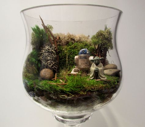 Self Sustaining Terrarium, Terraria Party, Terrariums Diy, Terrarium Centerpiece, Star Wars Crafts, Star Wars Room, Star Wars Diy, Star Wars Wedding, Star Wars Love