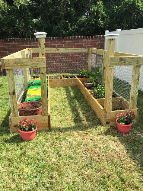 Fenced In Garden Area, Walkthrough Garden Ideas, Backyard Garden Layout Landscapes, Raised Garden Beds Fenced In, Walk In Garden Ideas, Garden Ideas To Keep Animals Out, Small Enclosed Garden Ideas, Dog Proof Garden, Small Veggie Garden Ideas