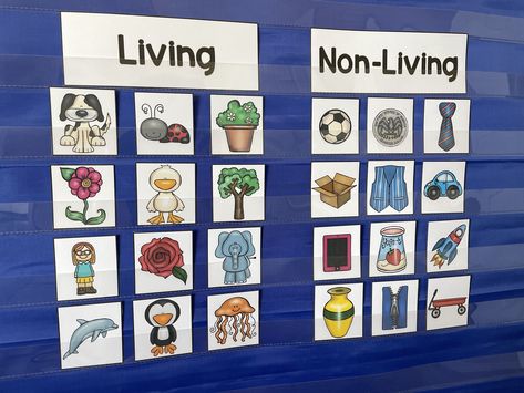 Living And Nonliving Anchor Chart Kindergarten, Living Vs Nonliving Preschool Activities, Living Non Living Preschool, Non Living Things Drawing Ideas, Living And No Living Things Activities, Living Non Living Kindergarten, Living Vs Non Living Kindergarten, Living And Non Living Things Activities For Preschool Worksheets, Living And Non Living Things Activities For Preschool