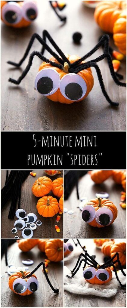 With googly eyes and pipecleaners you can have a spider pumpkin in no-time! Here is a list of more pumpkin decorating ideas that toddlers, preschoolers and kids of all ages can create! #howweelearn #pumpkincarving #pumpkindecorating #jackolantern # halloween #kidsactivities Five Minute Crafts, Easy Pumpkin Decorating, Pumpkin Decorating Ideas, Halloween Class Party, Pumpkin Decorating Contest, Easy Pumpkin Carving, Pumpkin Spider, Crafts Halloween, Halloween Pumpkins Carvings