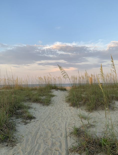 The Beach