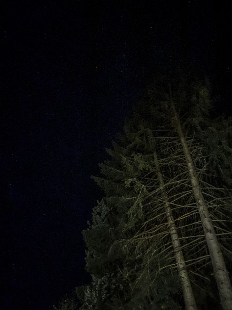 night sky | full of stars | in love | photography | nature | forest Forest Night Photography, Night Forest Photography, Night Forest Aesthetic, Night Asthetics Photos, Earth Eyes, Night Sky Forest, Photo Assignments, Night Sky Full Of Stars, Woods At Night