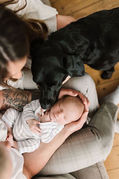 dog with newborn baby at home Newborn And Dog Pictures, Newborn With Dog Pictures, Dog Newborn Photography, Newborn And Dog Photos, Dog Newborn Pictures, At Home Newborn Pictures With Dog, Newborn Home Photoshoot With Dog, Newborn Lifestyle Photography At Home With Dog, Newborn Pics With Dogs