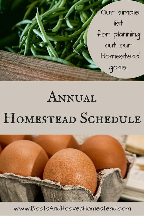 The Prairie Homestead, Prairie Homestead, Pioneer Life, Modern Homesteading, Homesteading Diy, Homestead Life, Homesteading Ideas, Homestead Farm, Homesteading Skills